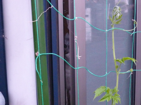 P1080391.JPG