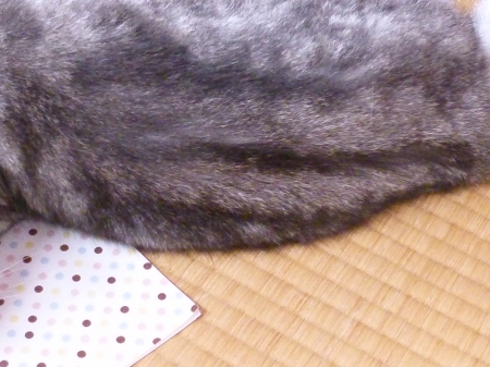 P1080536.JPG