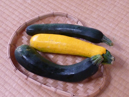 P1080551.JPG