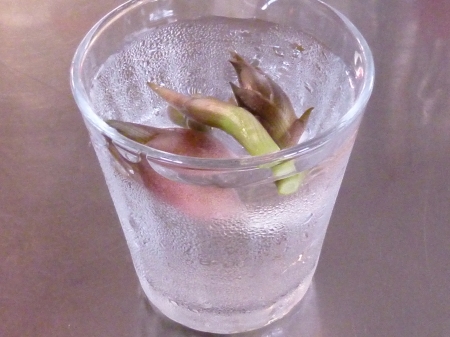 P1080757.JPG