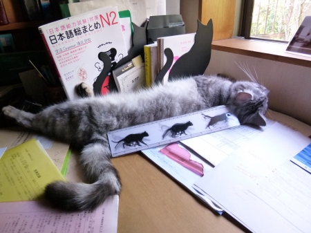P1080741.JPG