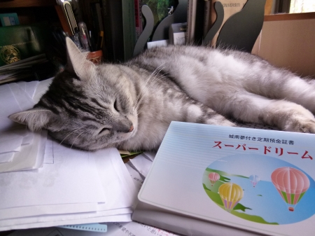 P1090219.JPG