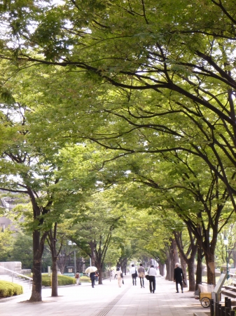 P1100054.JPG
