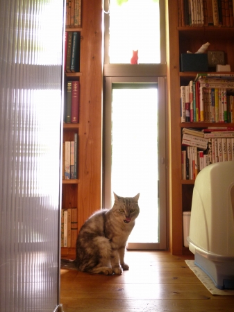 P1100649.JPG
