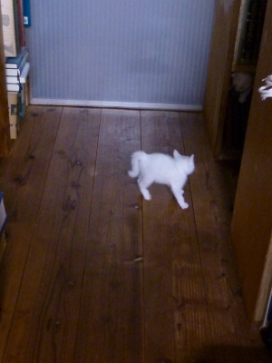 P1120874.JPG
