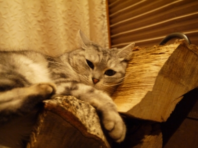 P1000607.JPG