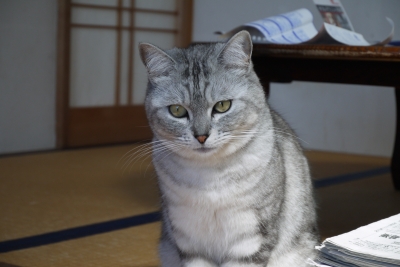 P1010801.JPG
