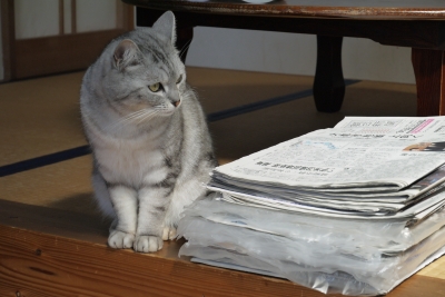 P1010802.JPG