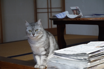 P1010805.JPG