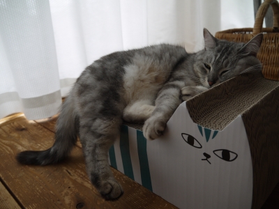 P1030923.JPG