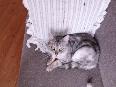 P1030434.JPG