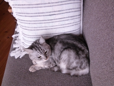 P1020460.JPG