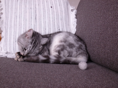 P1030432.JPG