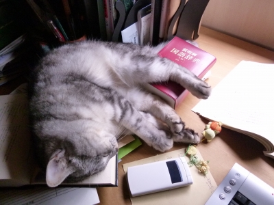 P1090134.JPG