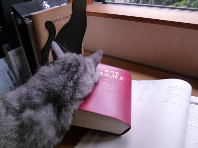P1090140.JPG