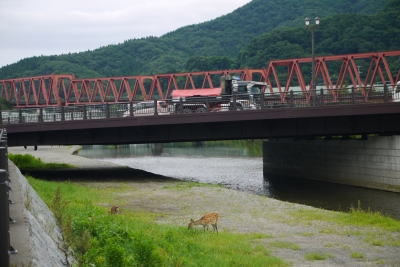 P1050494.JPG