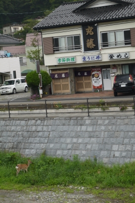 P1050513.JPG