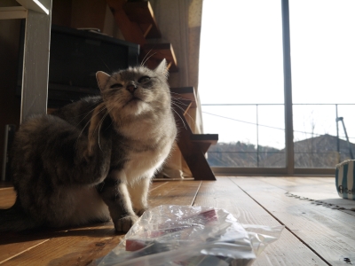 P1070324.JPG