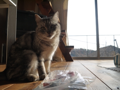 P1070323.JPG