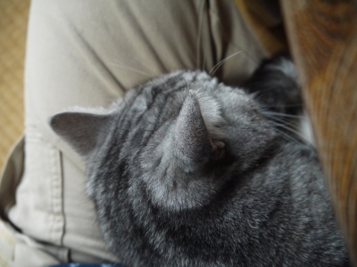 P1080024.JPG