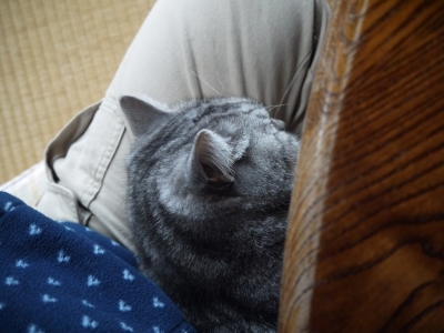 P1080025.JPG
