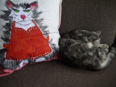 P1090361.JPG