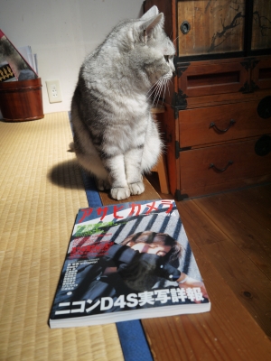 P1100013.JPG