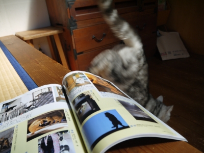 P1100015.JPG