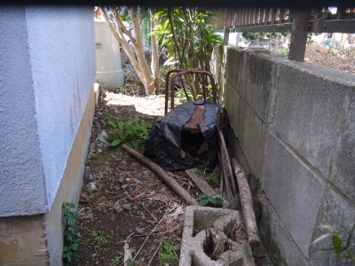 P1100227.JPG