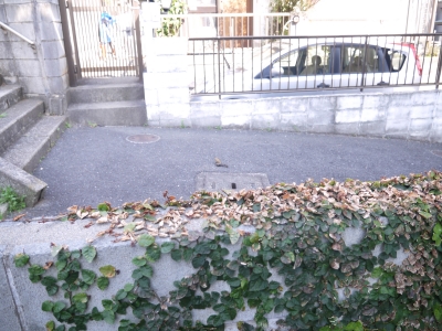 P1100231.JPG