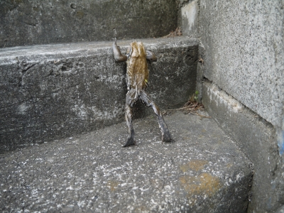 P1100233.JPG