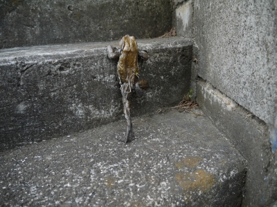 P1100234.JPG
