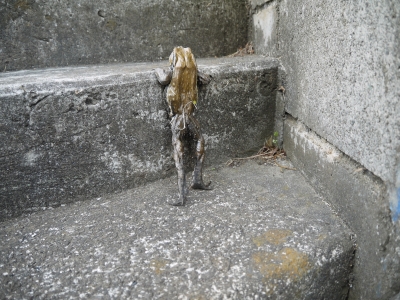 P1100235.JPG