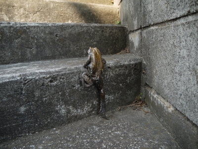 P1100236.JPG