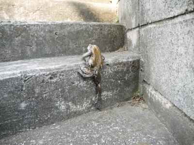 P1100237.JPG