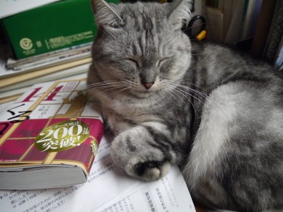 P1130209.JPG