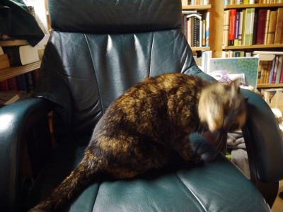 P1140919.JPG