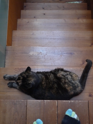 P1150432.JPG