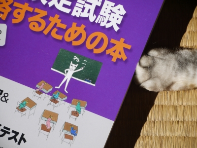 P1150811.JPG