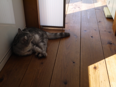 P1160215.JPG