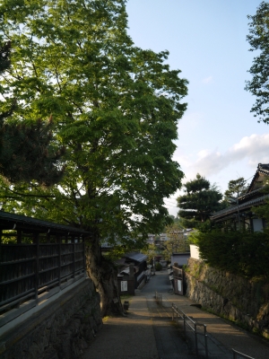 P1180834 - コピー.JPG