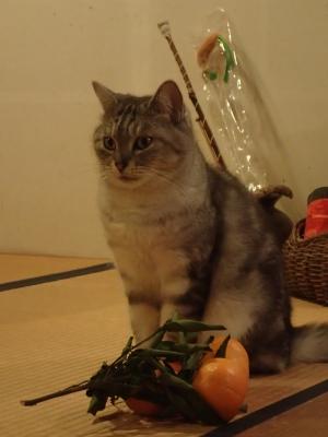 PB120118.JPG