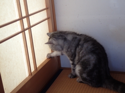 PC290141.JPG