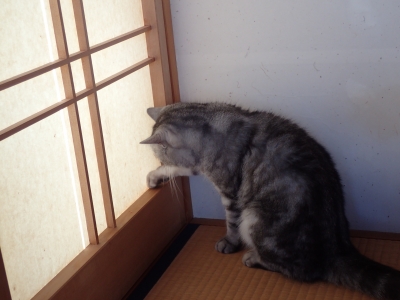 PC290142.JPG