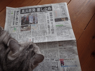 P3100091.JPG