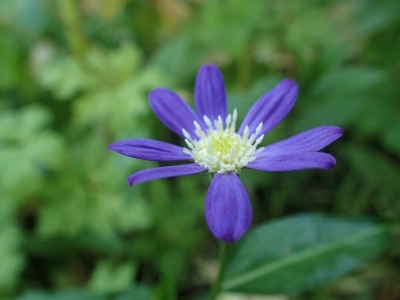 P4290111.JPG