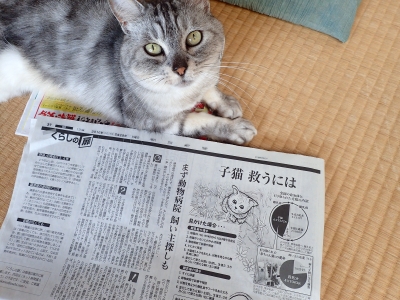 P5290081.JPG