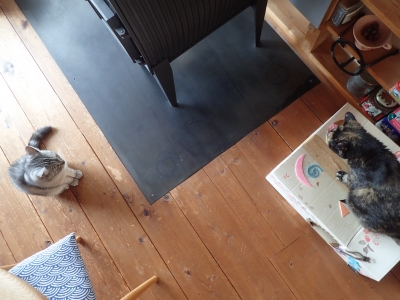 P9240091.JPG