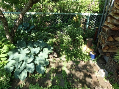 P5290027.JPG