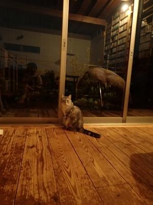 P7010069.JPG